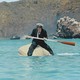 photo du film Les Aventuriers du Lucky Lady