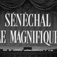 photo du film Sénéchal le Magnifique