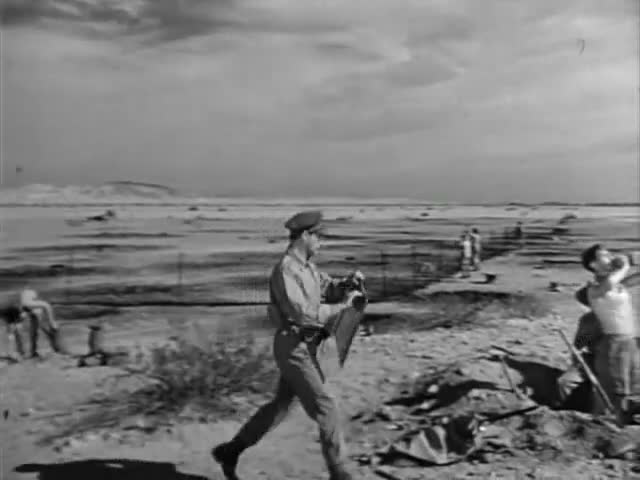 Extrait vidéo du film  Les Rats du désert