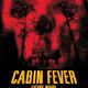 photo du film Cabin fever