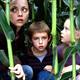 photo du film Les témoins