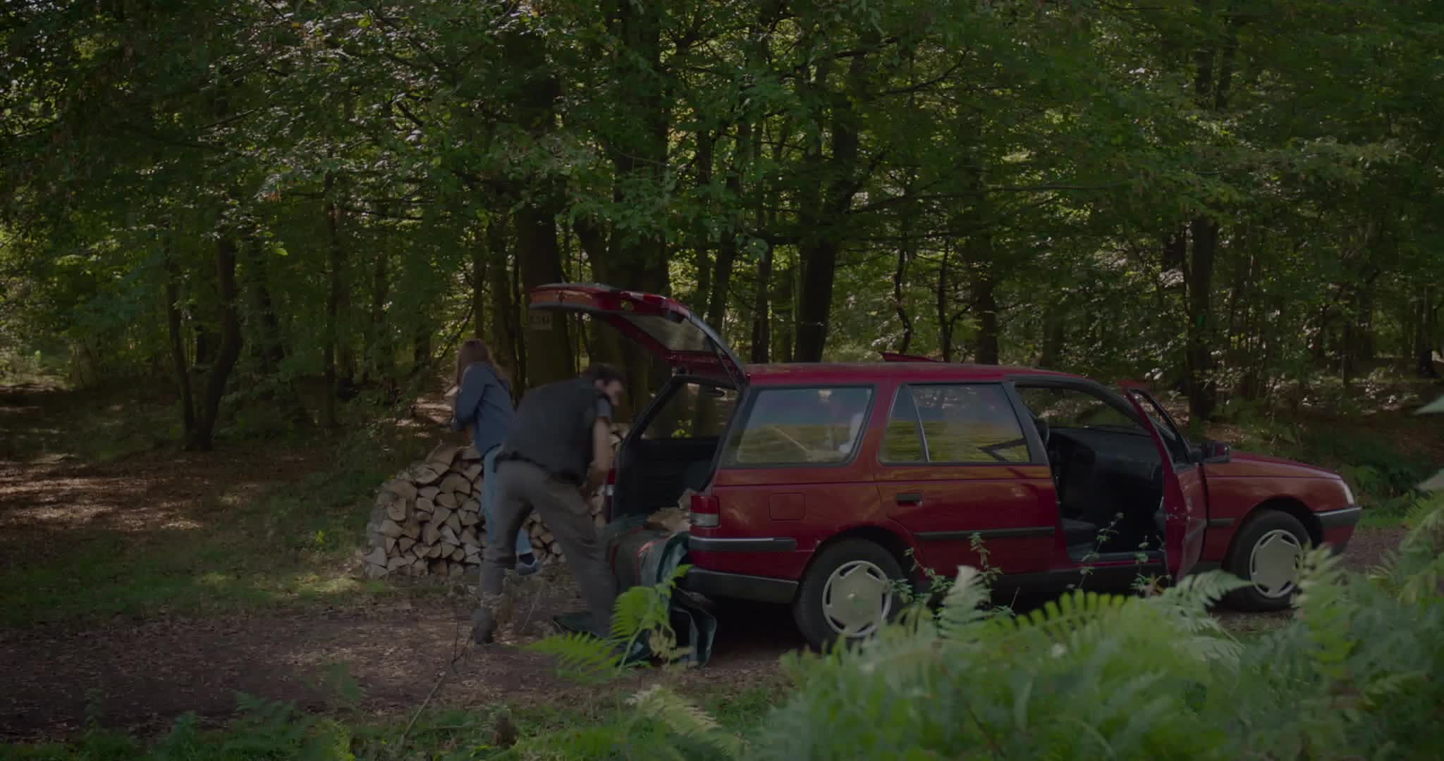 Extrait vidéo du film  La Forêt de mon père