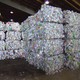 photo du film Trashed