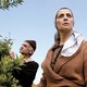 photo du film Les Citronniers