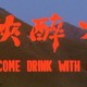 photo du film Come drink with me
