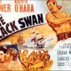 photo du film Le Cygne noir