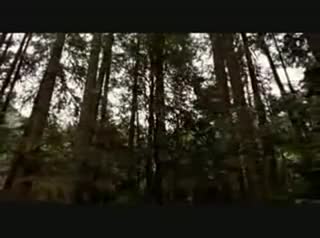 Extrait vidéo du film  Détour mortel 2
