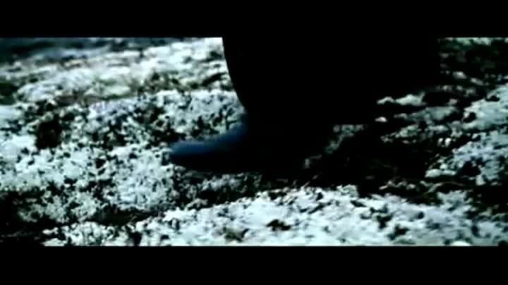 Un extrait du film  L Ile