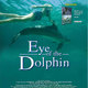 photo du film Alyssa et les dauphins