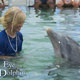 photo du film Alyssa et les dauphins