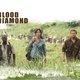 photo du film Blood diamond