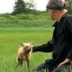 photo du film Grizzly man