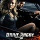 photo du film Hell driver