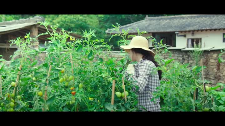 Extrait vidéo du film  Petite Forêt