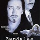 photo du film Zandalee