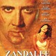 photo du film Zandalee