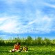 photo du film Puzzle