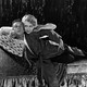 photo du film Le metteur en scène