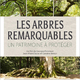 photo du film Les Arbres Remarquables, un patrimoine à protéger