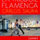 photo du film La Trilogie Flamenca