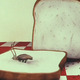 photo du film Storytime
