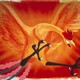 photo du film Phénix, l'oiseau de feu