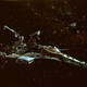 photo du film Phénix, l'oiseau de feu