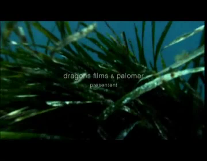 Extrait vidéo du film  Un ange à la mer