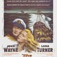 photo du film Le Renard des Océans