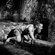 photo du film Le Comte de Monte Cristo, 1ère époque : Edmond Dantès