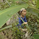 photo du film Le Silence des rizières