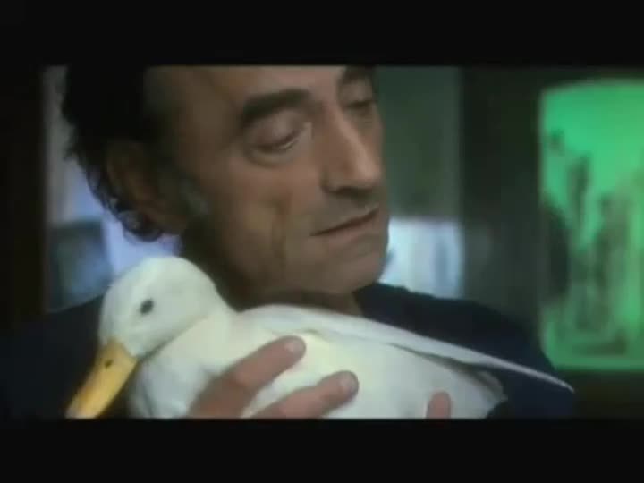 Extrait vidéo du film  C est beau une ville la nuit