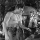 photo du film Tarzan l'intrépide