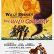 photo du film The Wild country