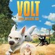 photo du film Volt, star malgré lui