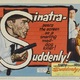 photo du film Je dois tuer