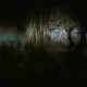 photo du film Eden Lake