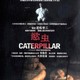photo du film Le Soldat Dieu