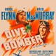 photo du film Dive Bomber