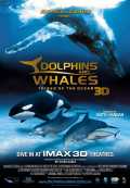 Dolphins And Whales 3D : Tribes Of The Ocean