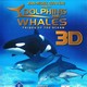 photo du film Dolphins and Whales 3D : Tribes of the Ocean