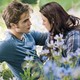 photo du film Twilight - Chapitre 3 : Hésitation