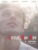 voir la fiche complète du film : Little Gay Boy