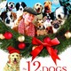 photo du film Les 12 chiens de Noël
