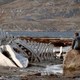 photo du film Leviathan