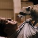 photo du film La Forêt contre-attaque