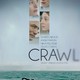 photo du film Crawl