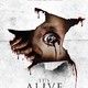 photo du film It's alive