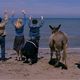photo du film Le Fils de Joseph