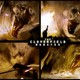 photo du film Cloverfield